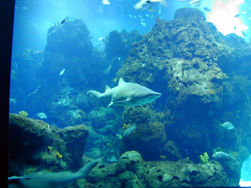 Various pictures of Kuwait Scienctific Centre