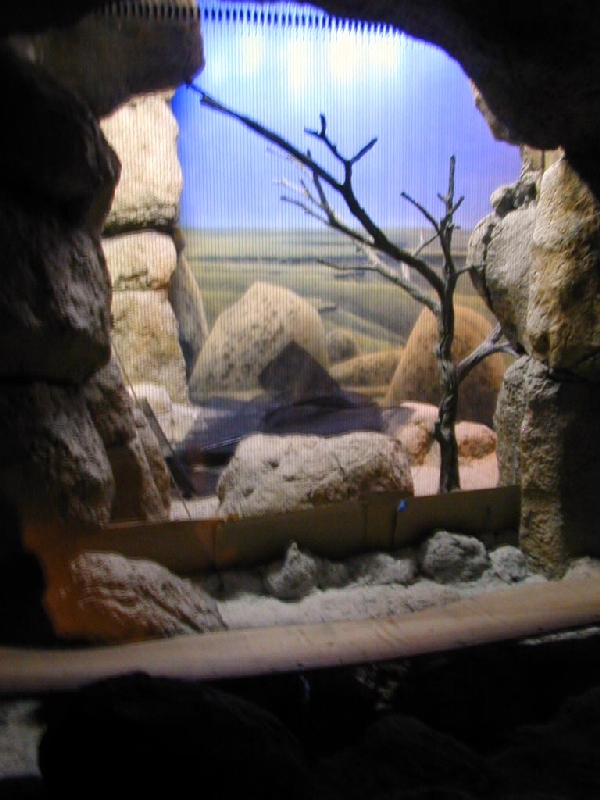 Various pictures of Kuwait Scienctific Centre