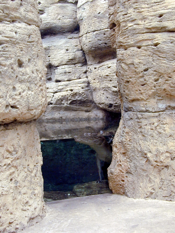 Various pictures of Kuwait Scienctific Centre