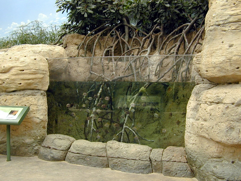 Various pictures of Kuwait Scienctific Centre