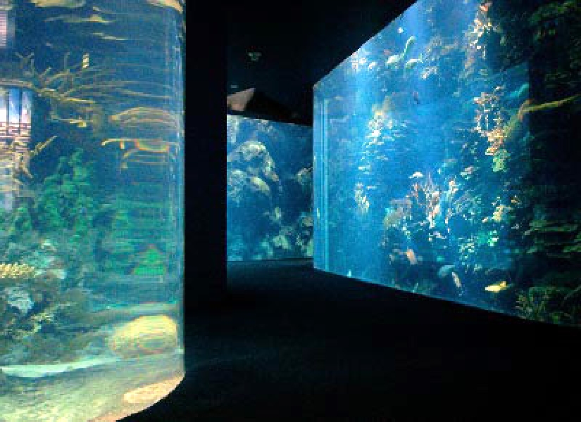 Various pictures of Kuwait Scienctific Centre