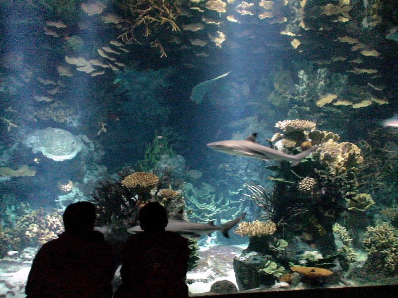 Various pictures of Kuwait Scienctific Centre