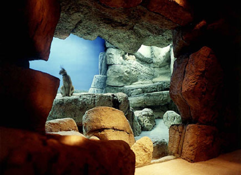 Various pictures of Kuwait Scienctific Centre