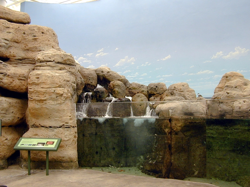 Various pictures of Kuwait Scienctific Centre