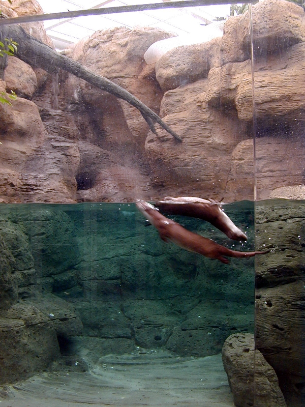 Various pictures of Kuwait Scienctific Centre