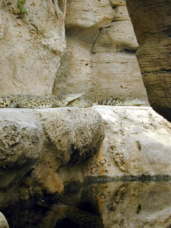 Various pictures of Kuwait Scienctific Centre