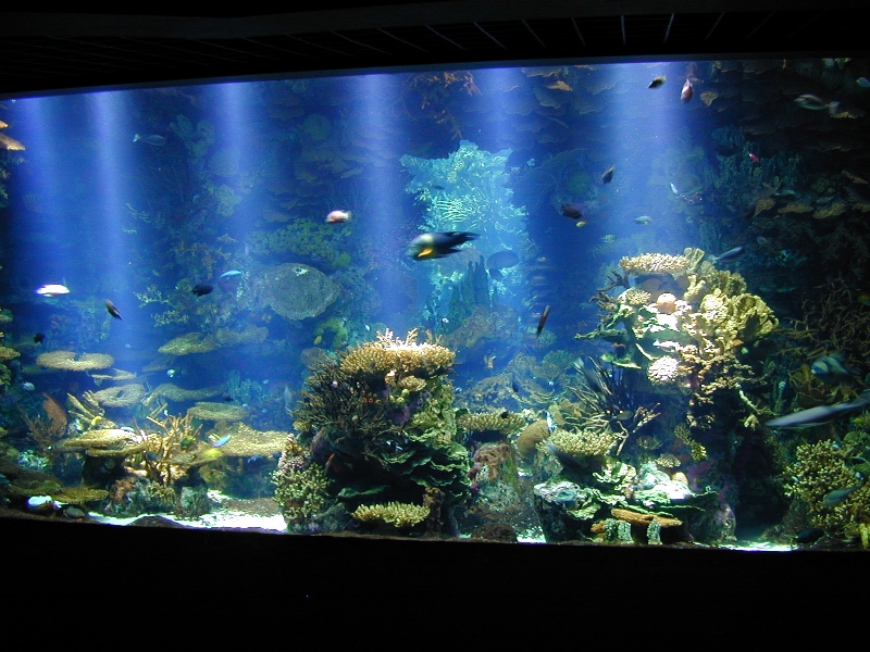 Various pictures of Kuwait Scienctific Centre