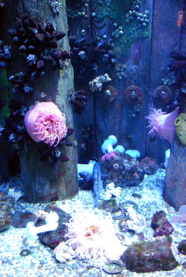 Various pictures of MB