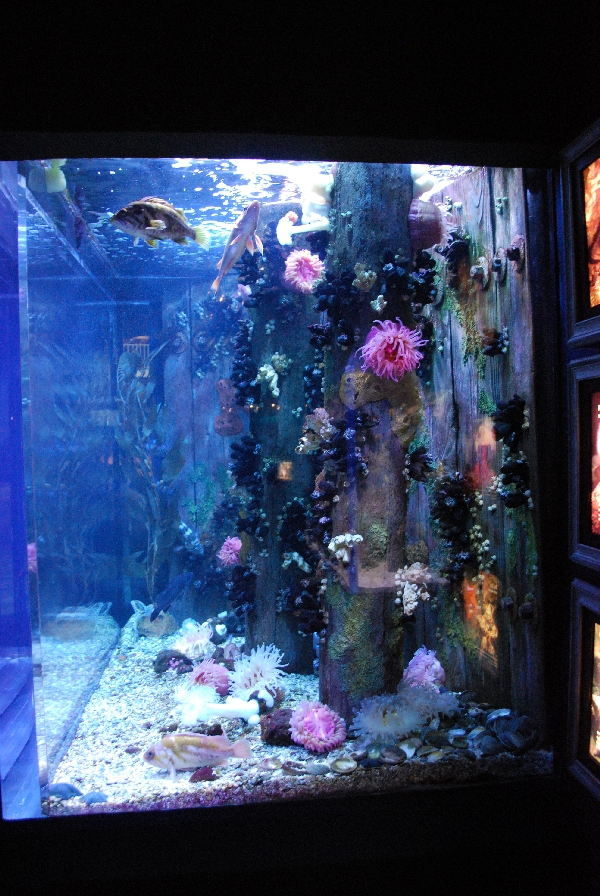 Various pictures of MB