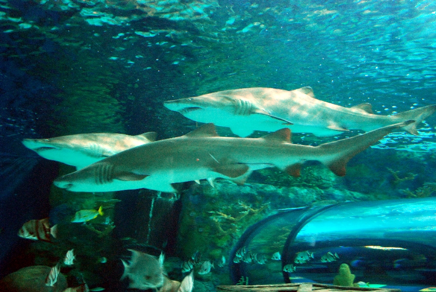 Various pictures of MB