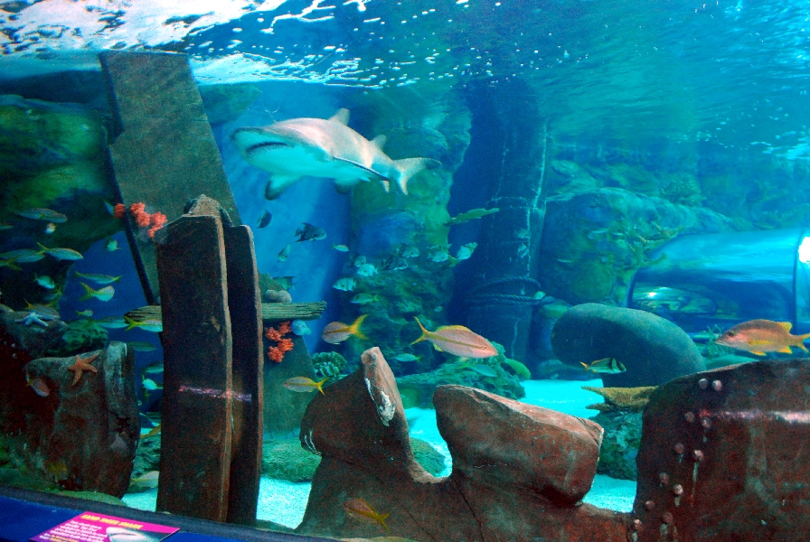 Various pictures of MB