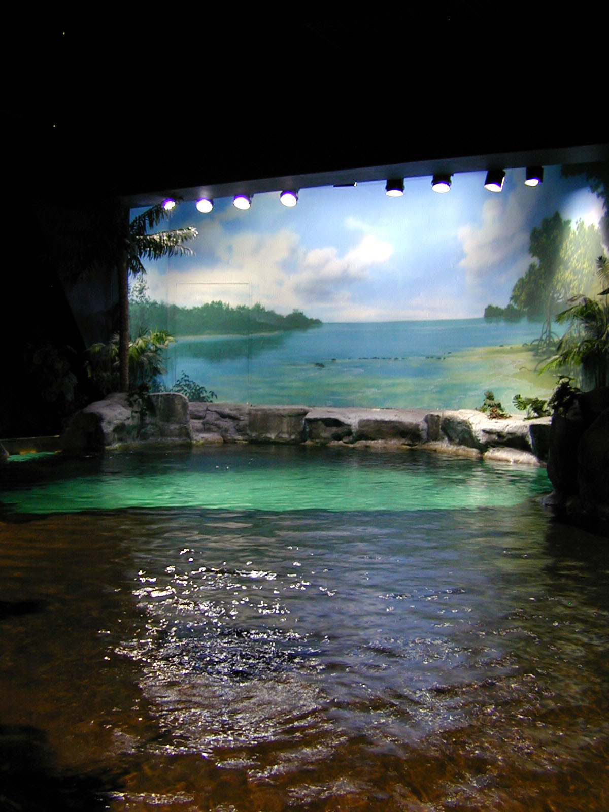 Various pictures of MB