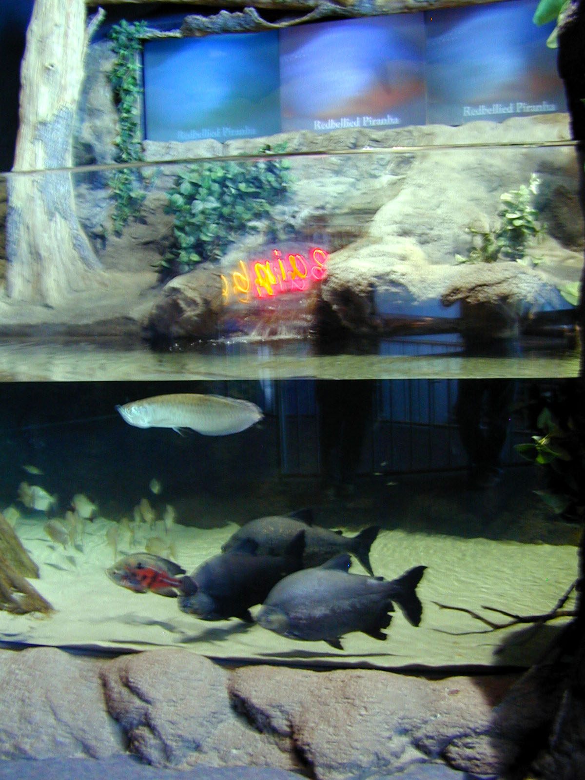 Various pictures of MB