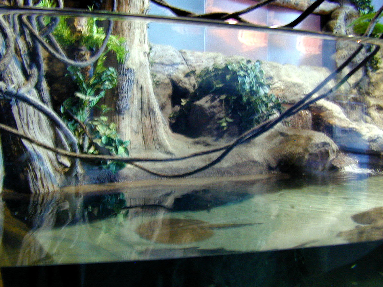 Various pictures of MB