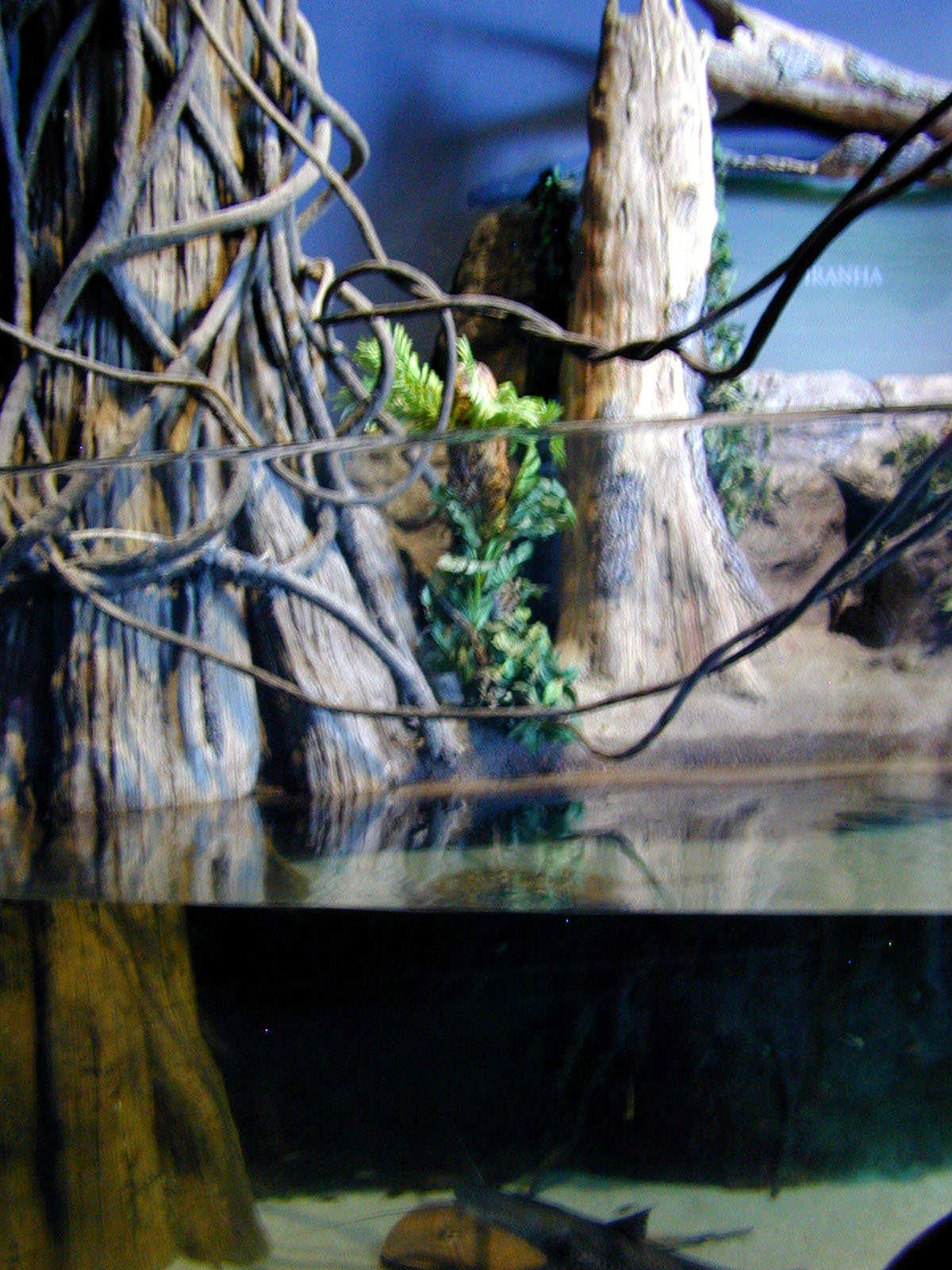 Various pictures of MB