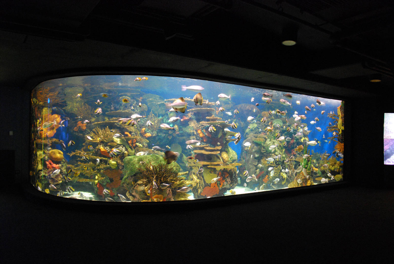 Various pictures of MB