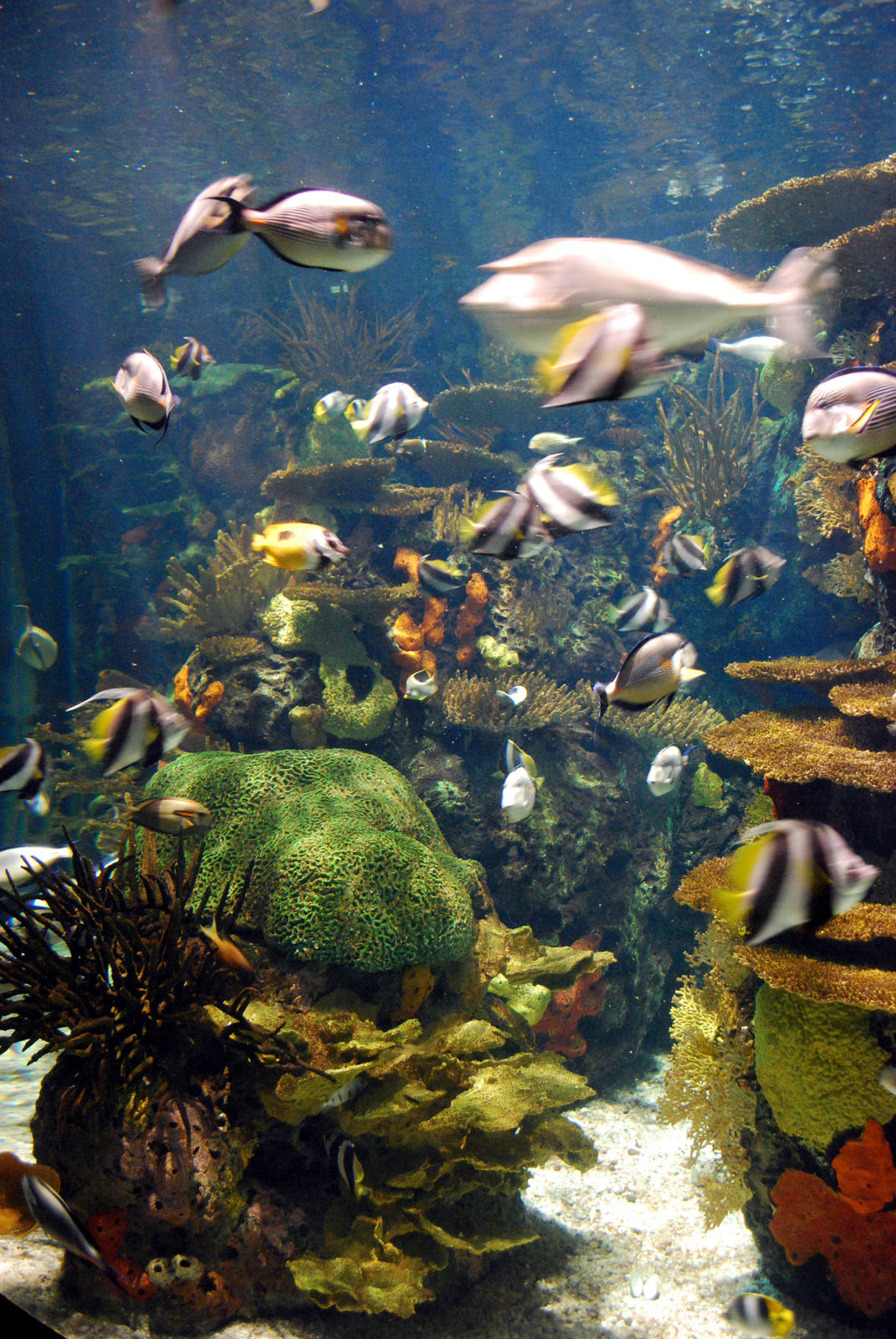 Various pictures of MB