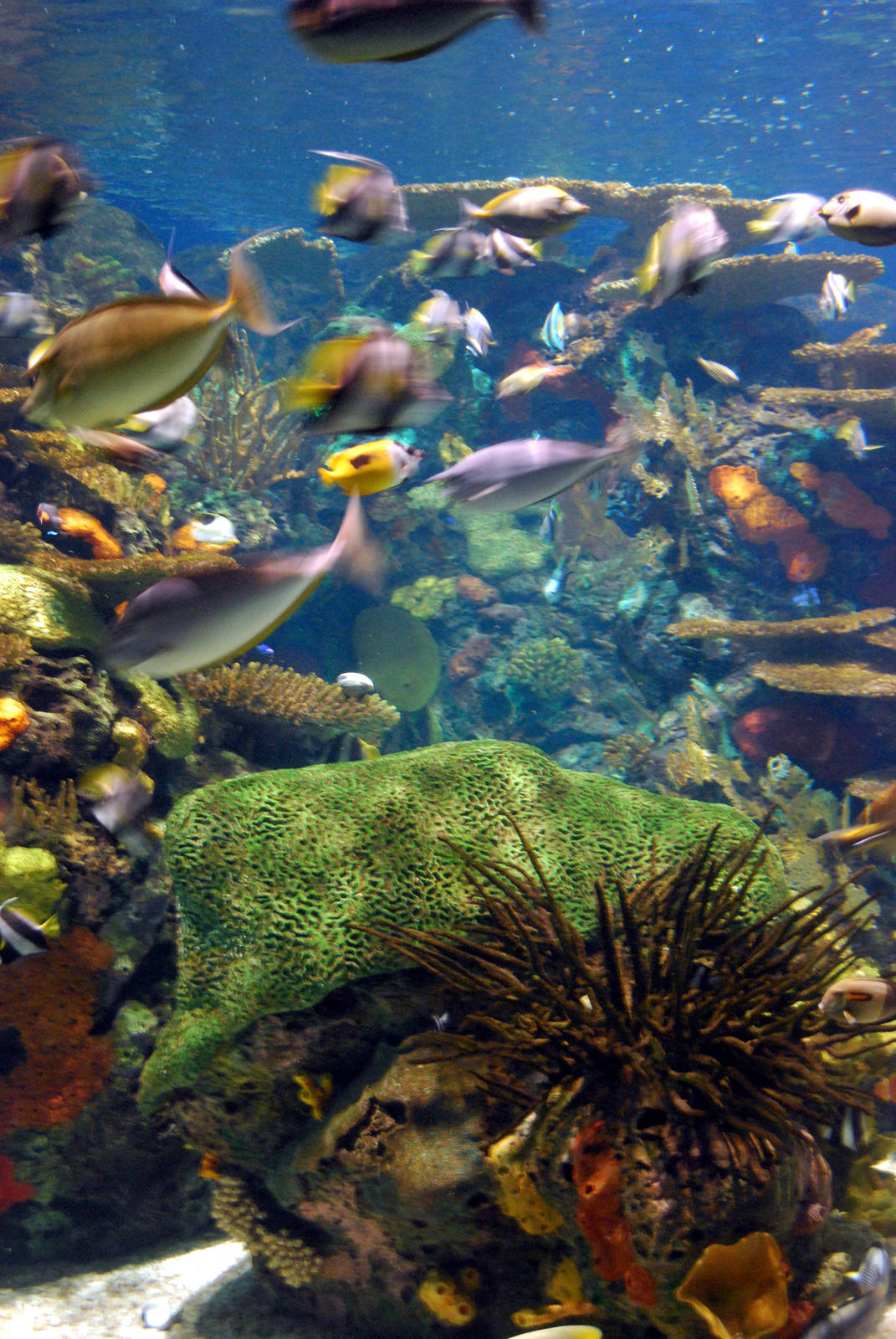 Various pictures of MB