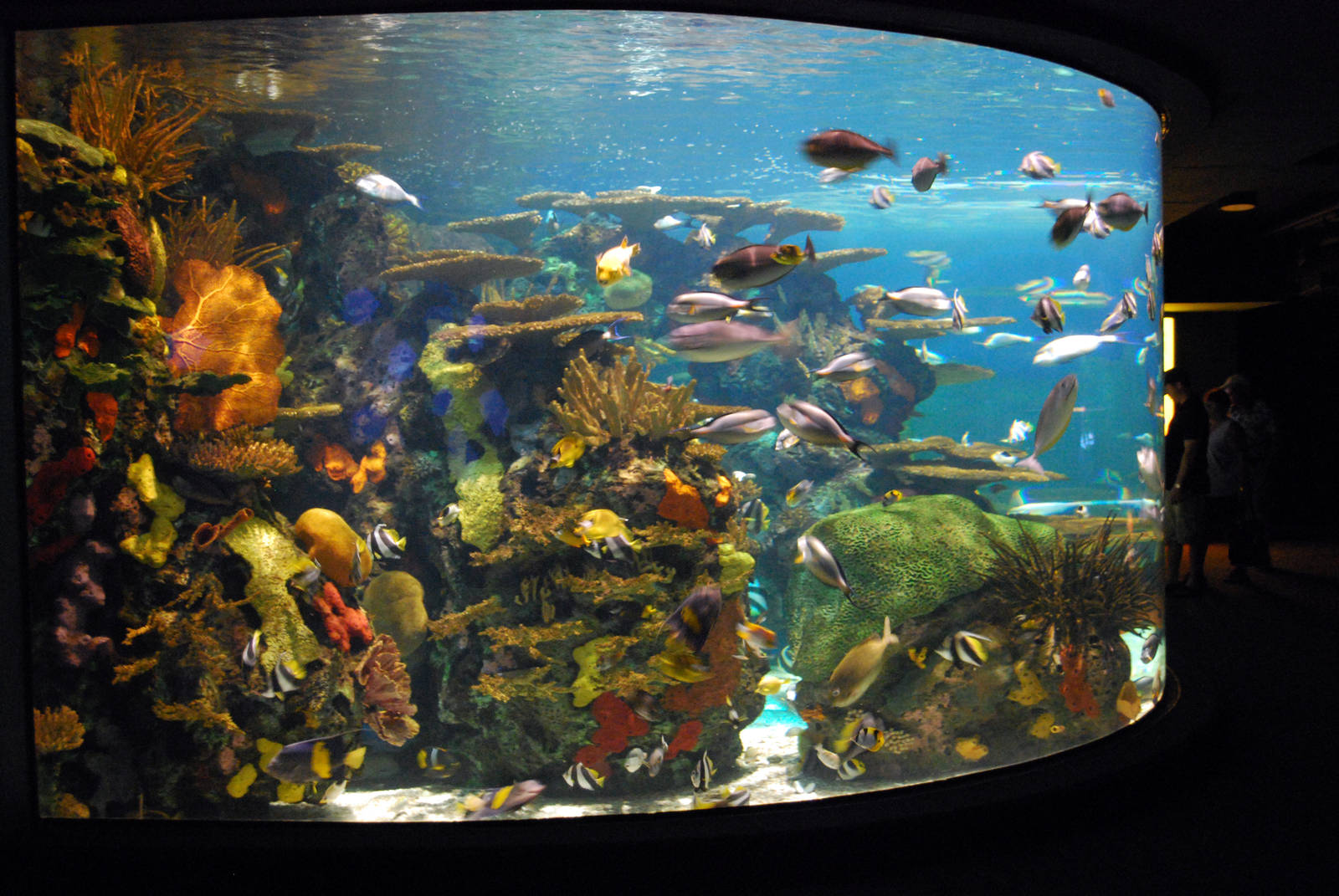 Various pictures of MB