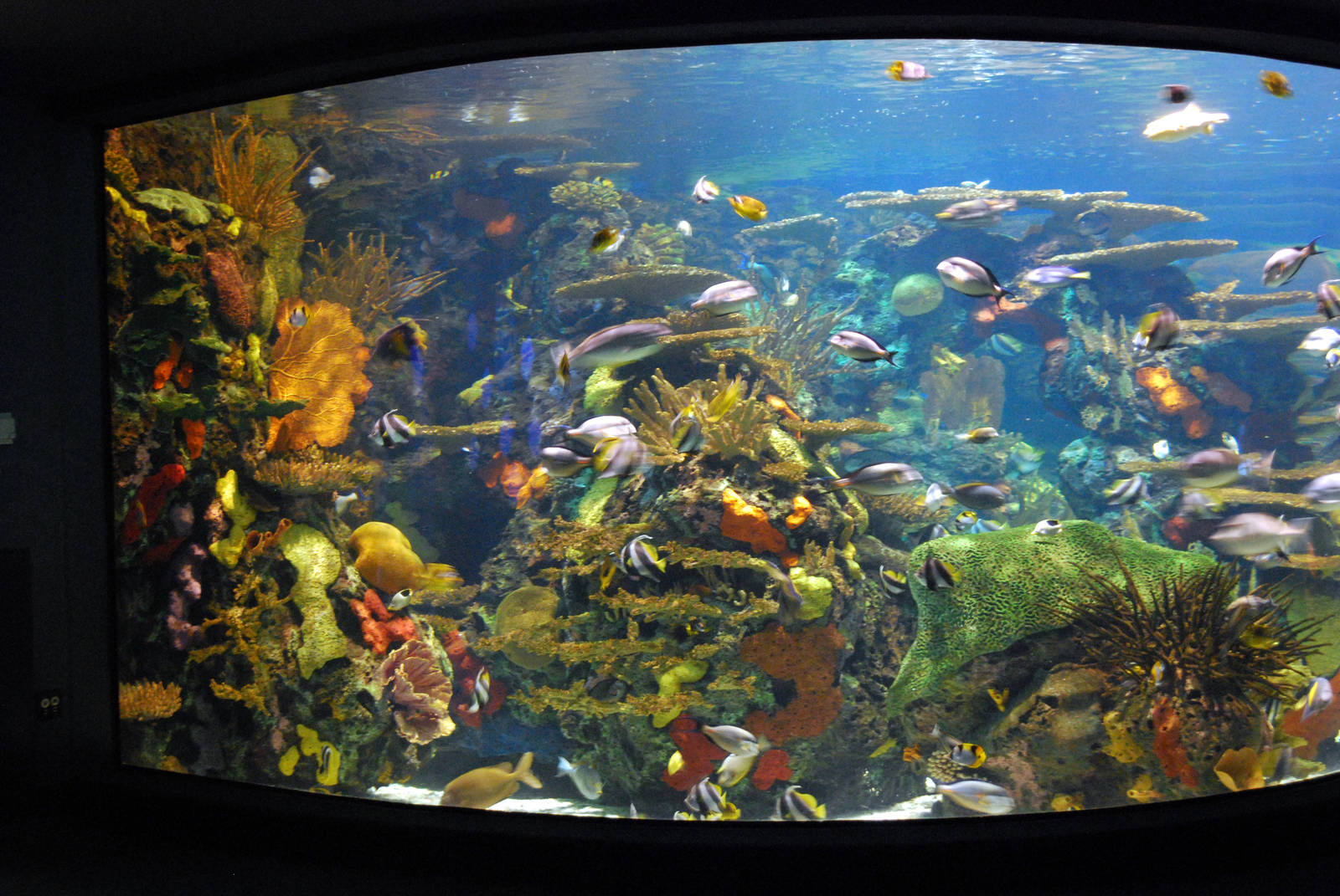 Various pictures of MB