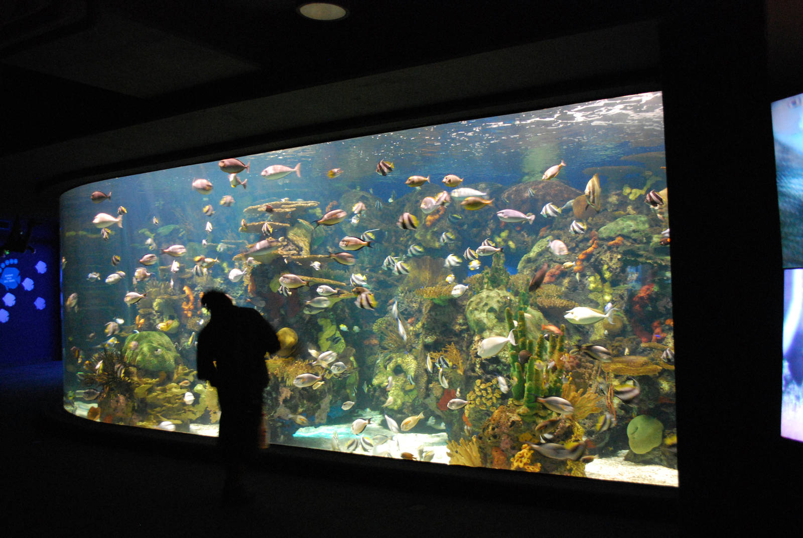 Various pictures of MB