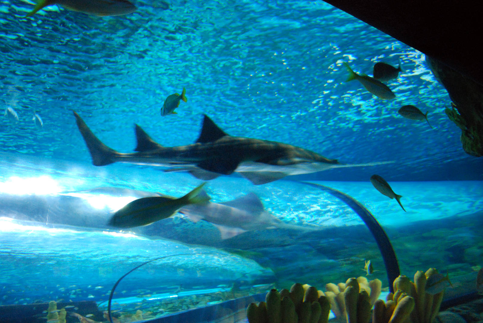 Various pictures of MB