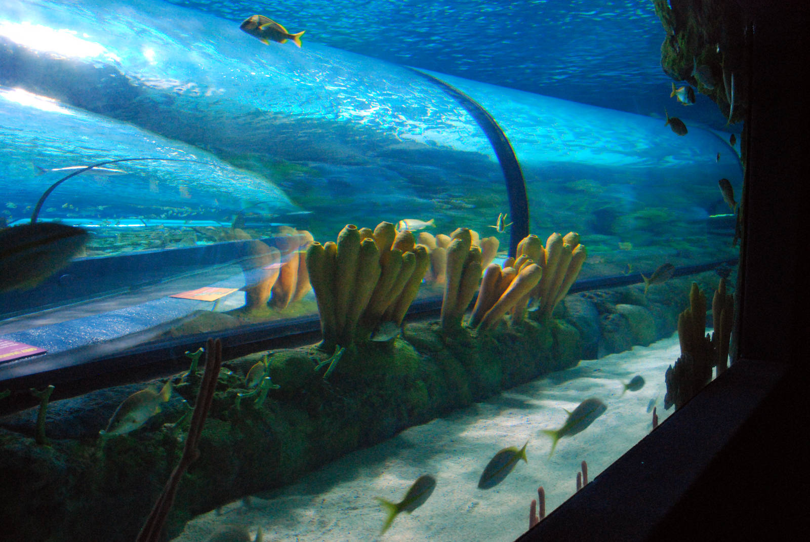 Various pictures of MB