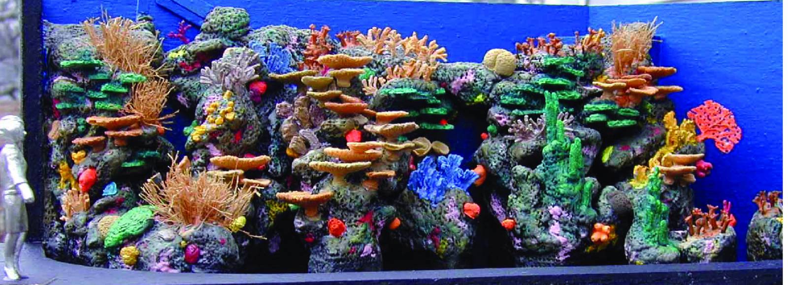 Various pictures of MB