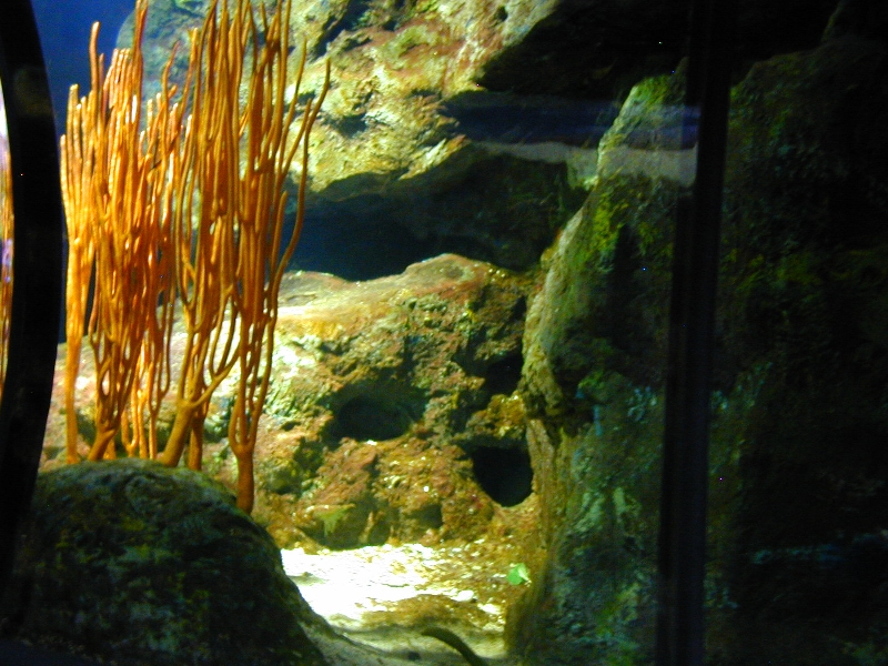 Various pictures of MB