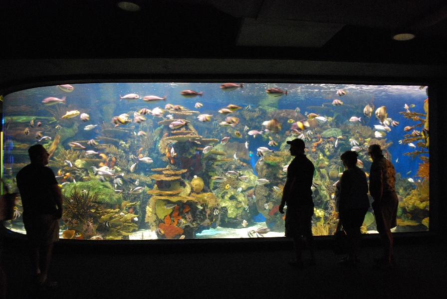 Various pictures of MB