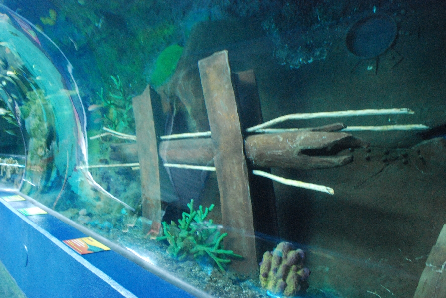 Various pictures of MB