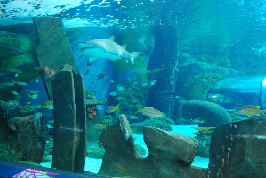 Various pictures of MB