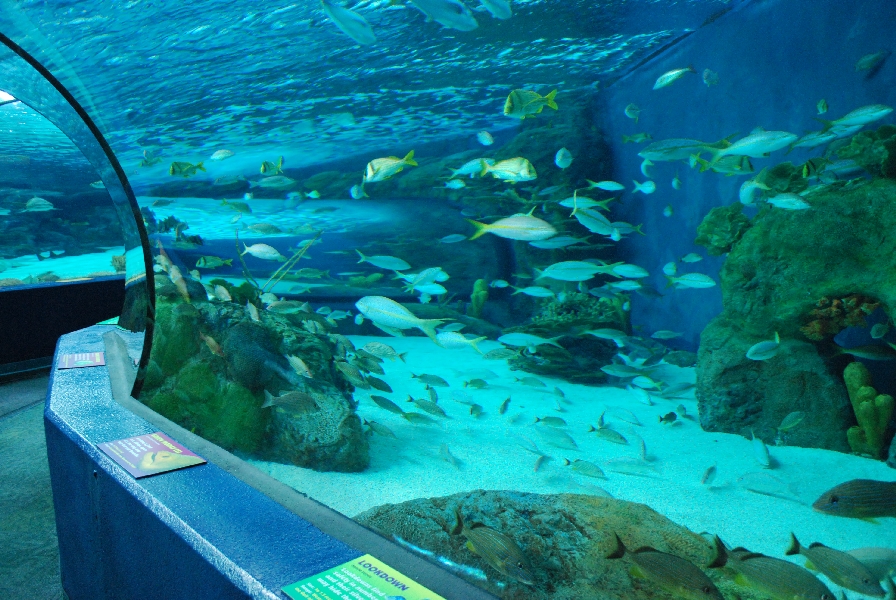 Various pictures of MB