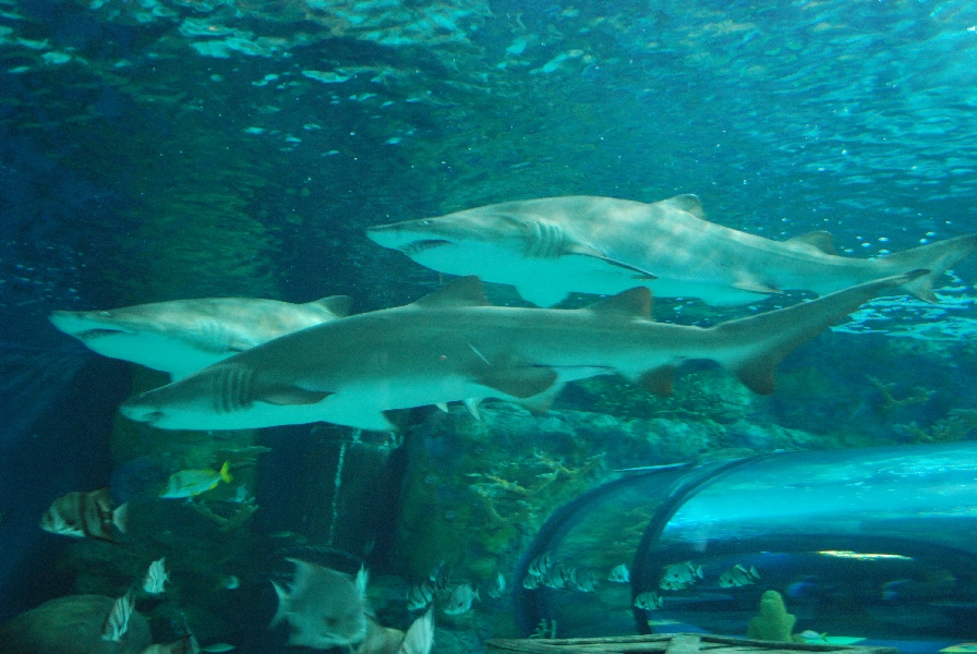 Various pictures of MB