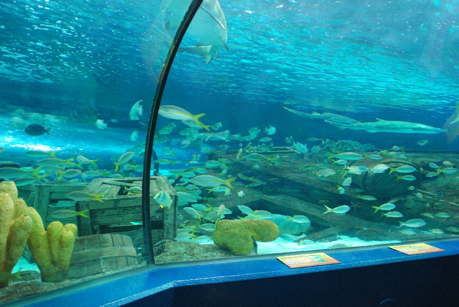 Various pictures of MB