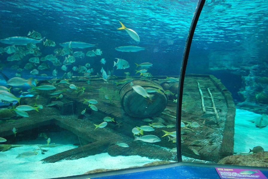 Various pictures of MB