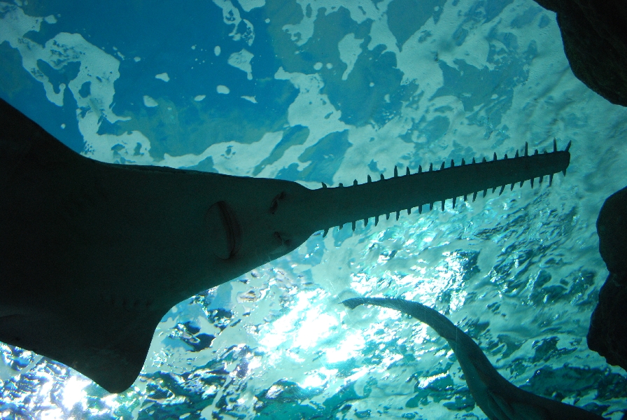 Various pictures of MB