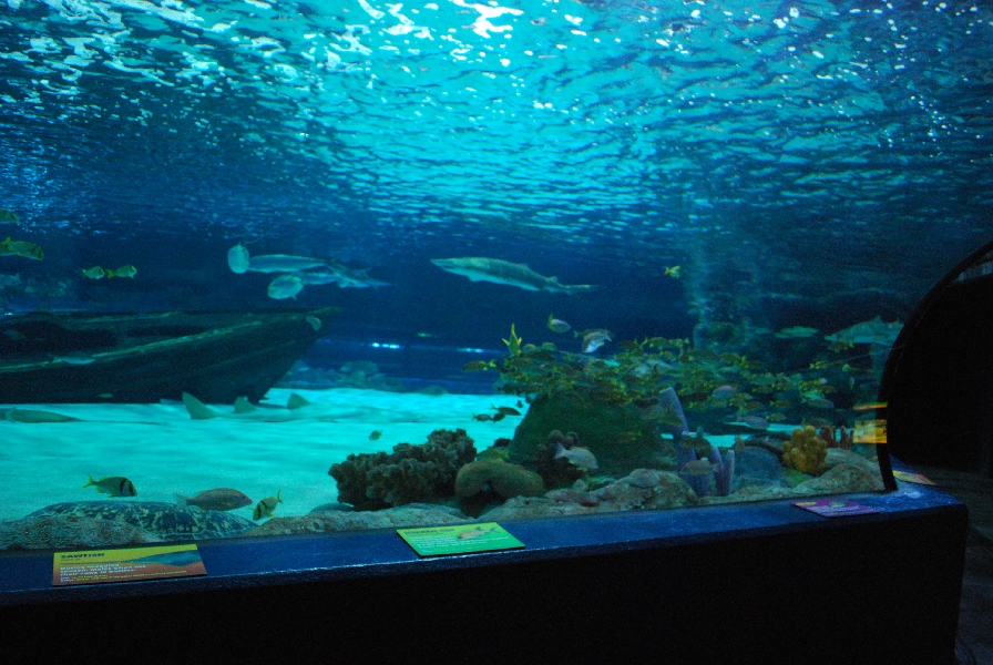 Various pictures of MB