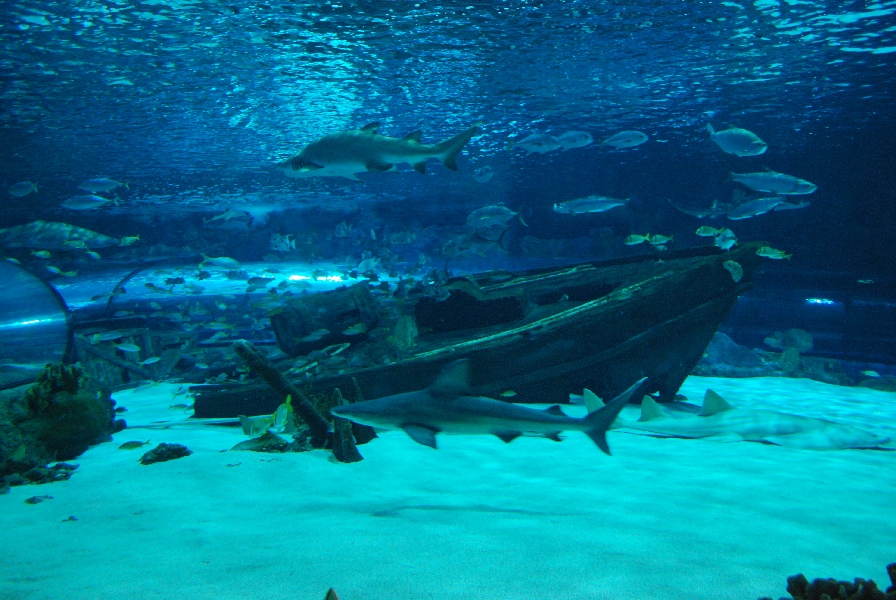 Various pictures of MB