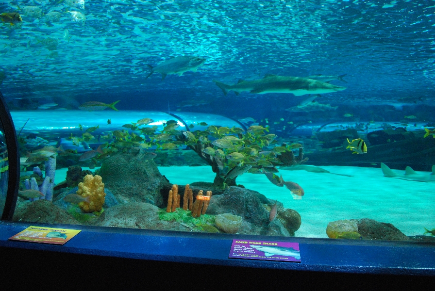 Various pictures of MB