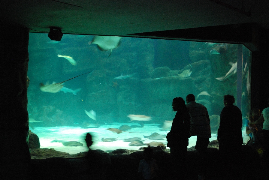 Various pictures of MB