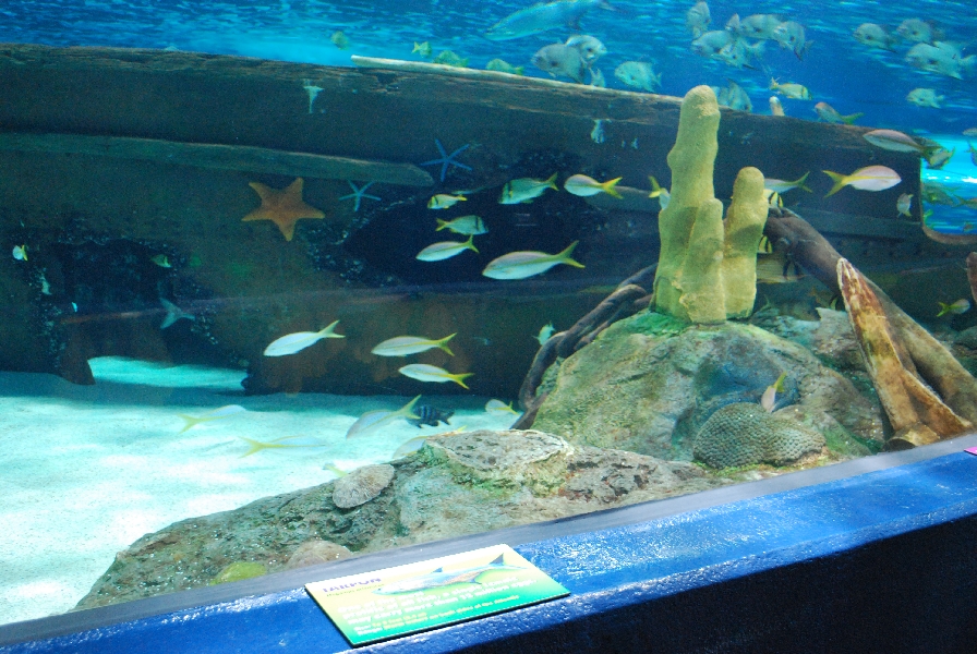 Various pictures of MB