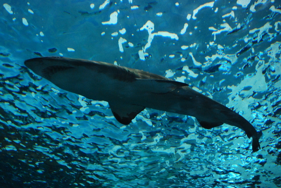 Various pictures of MB