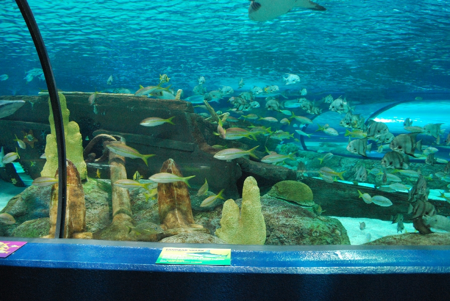 Various pictures of MB