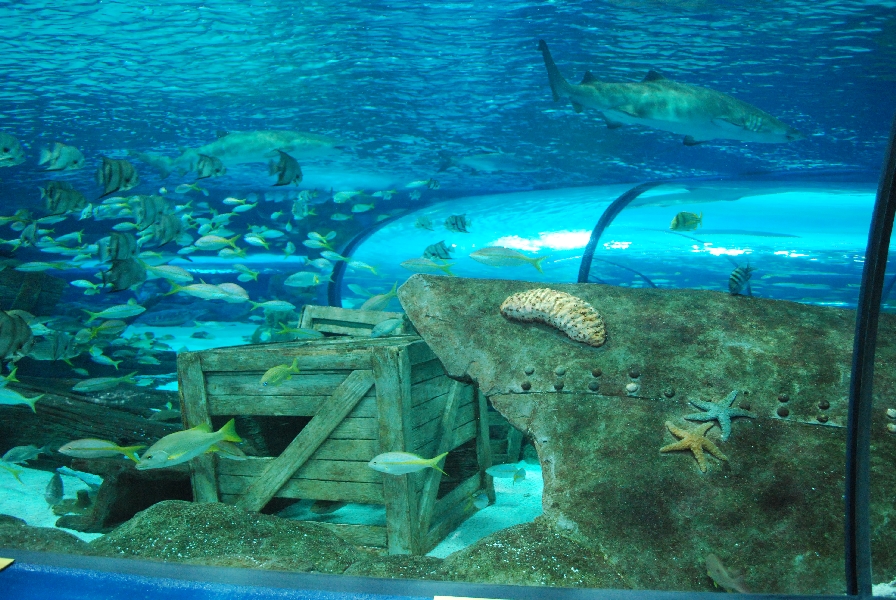 Various pictures of MB