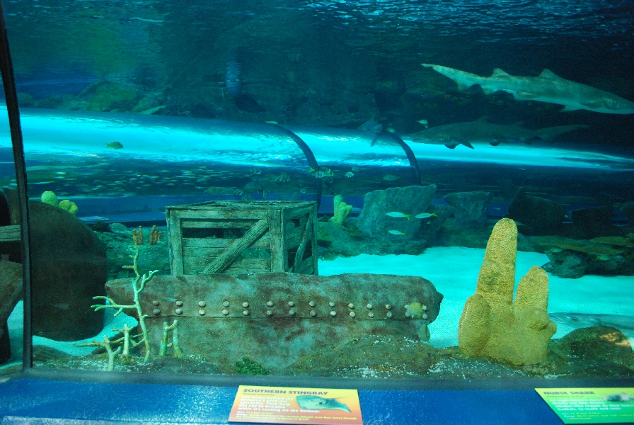 Various pictures of MB