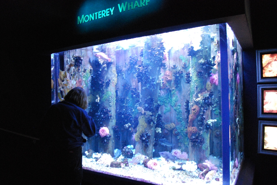 Various pictures of MB