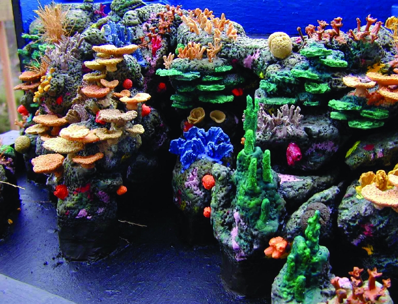 Various pictures of MB