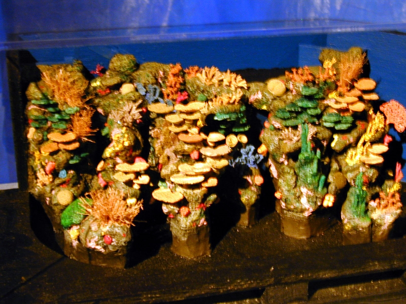 Various pictures of MB