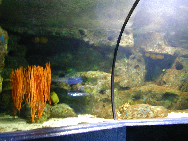 Various pictures of MB